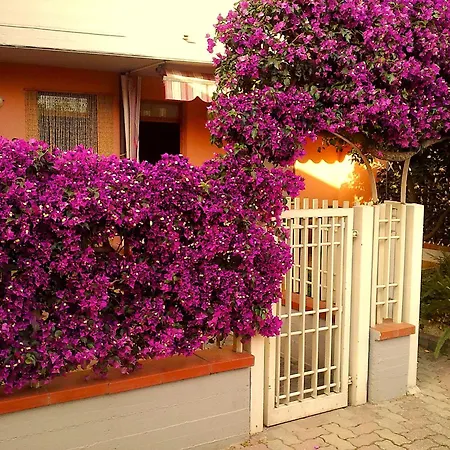 Apartment Il Giardinetto *